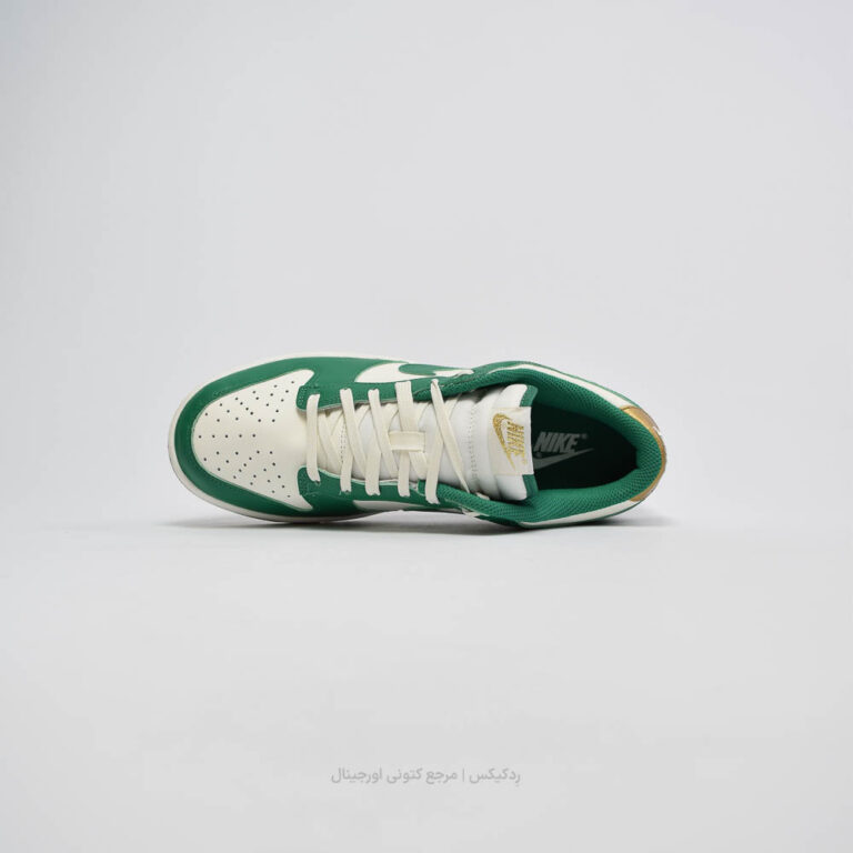 Dunk Low FB7173-131 (3 of 10)