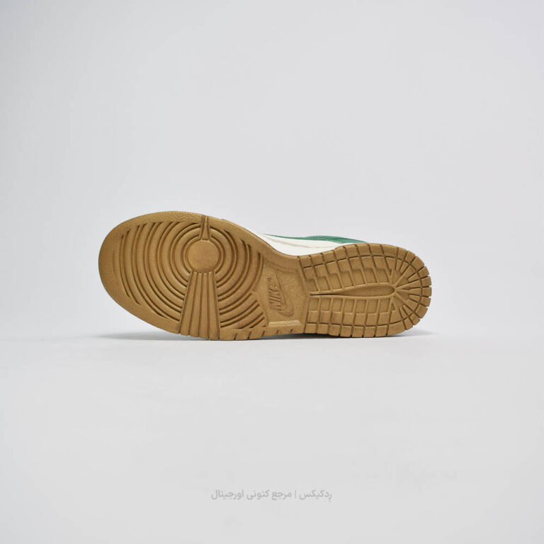 Dunk Low FB7173-131 (4 of 10)