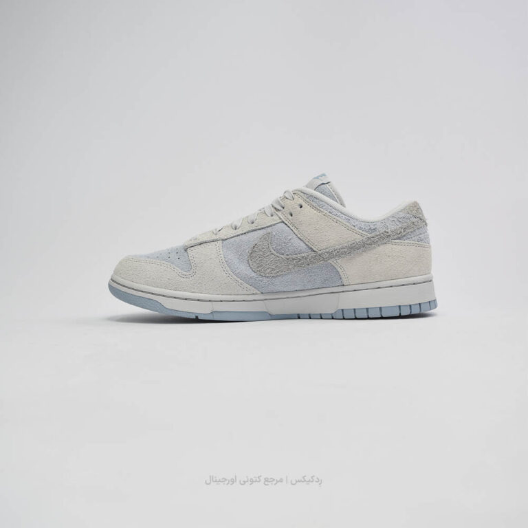 Dunk Low FZ3779-025 (2 of 10)