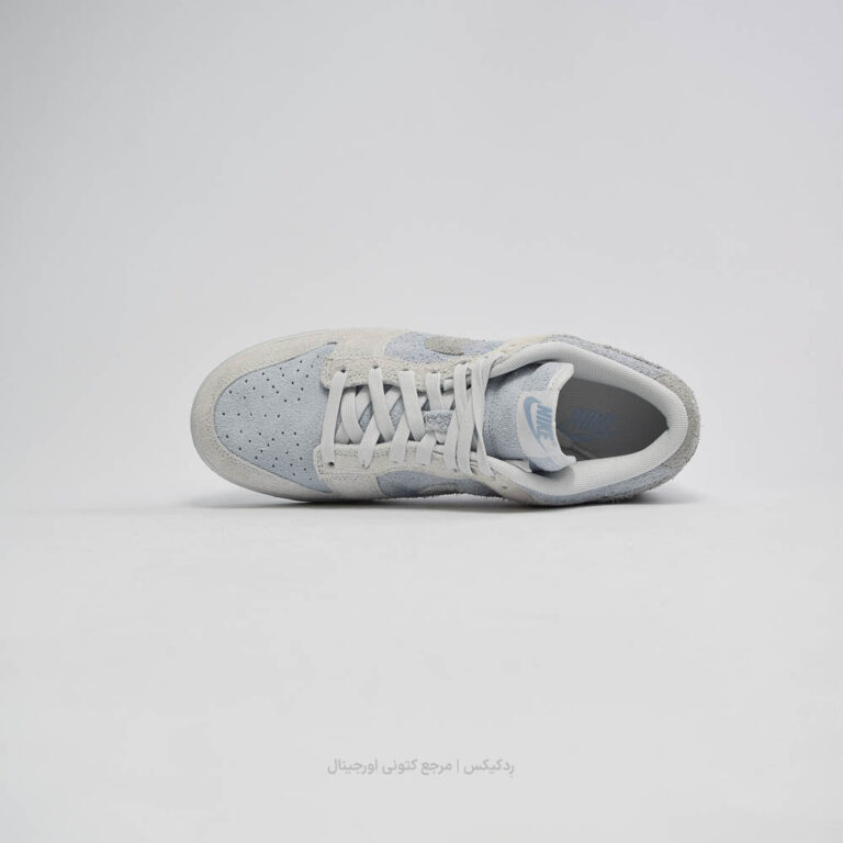 Dunk Low FZ3779-025 (3 of 10)