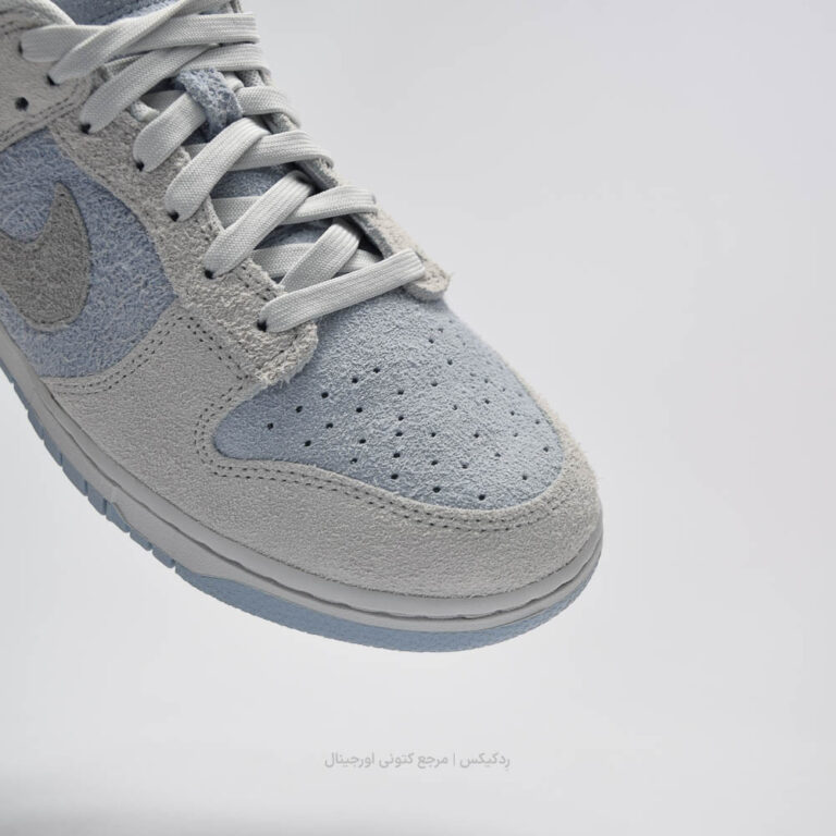 Dunk Low FZ3779-025 (8 of 10)