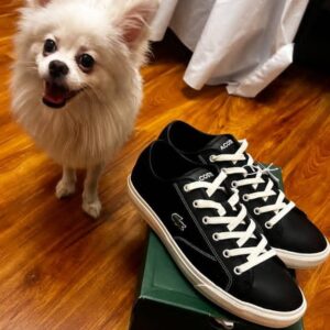 IMG_20250820_133409_595