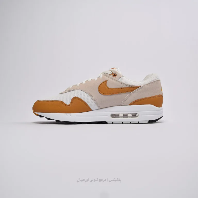 Air max 1 Dz4549-110 (2 of 10)