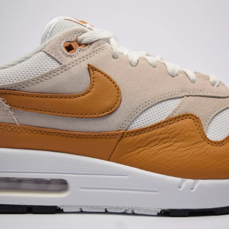 Air max 1 Dz4549-110 (6 of 10)