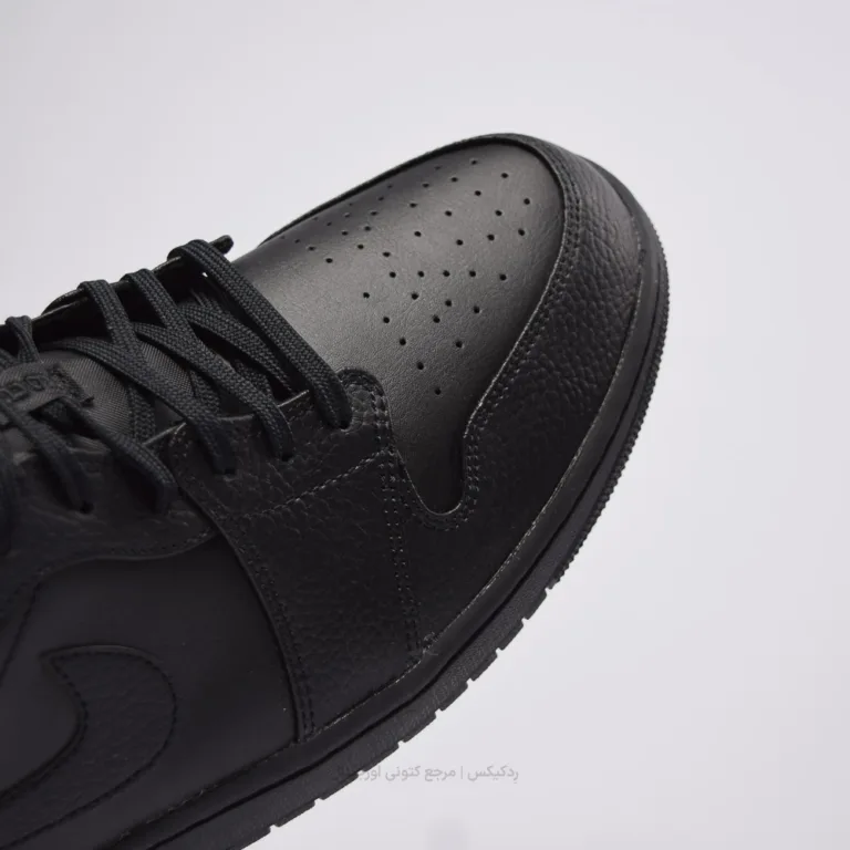 Nike Air Jordan 1 553558-091 (8 of 9)