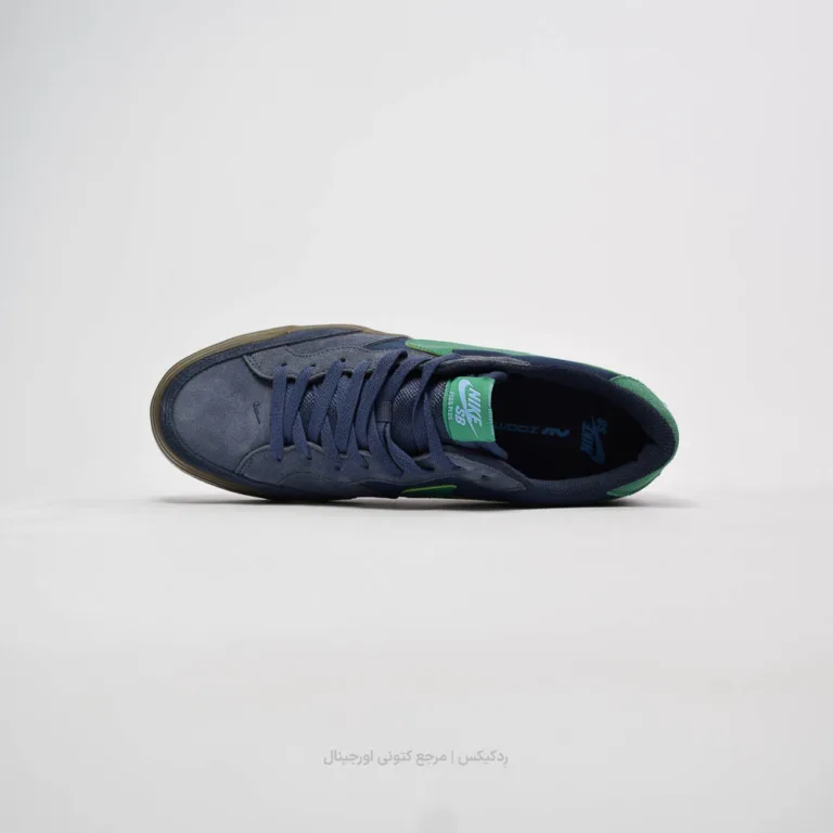 Nike SB Zoom Pogo Plus DV5469-402 (3 of 10)