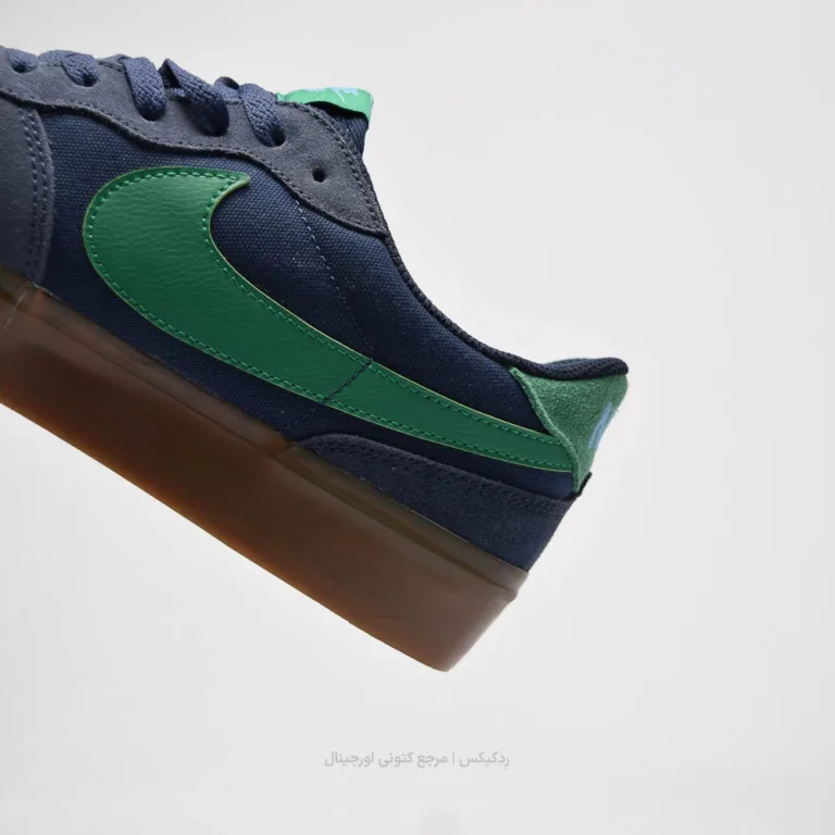 Nike SB Zoom Pogo Plus DV5469-402 (9 of 10)