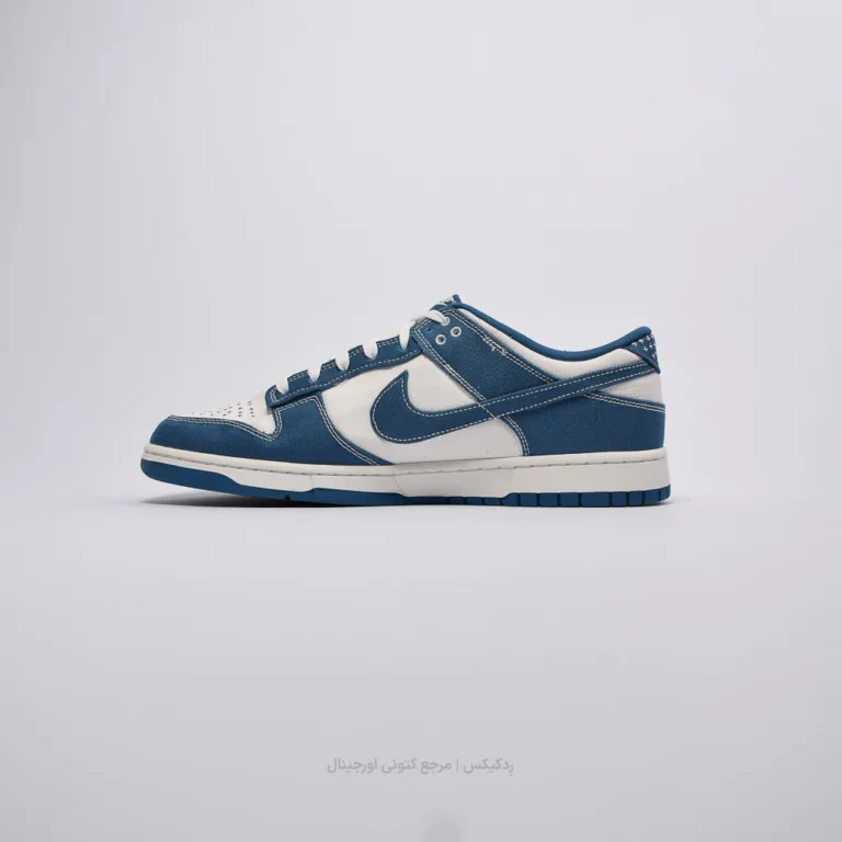Nike dunk Low dv0834-101 (2 of 9)