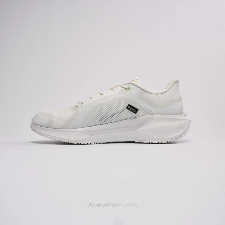 Pegasus 41 Gore-TEX FQ1357-101 (2 of 10)