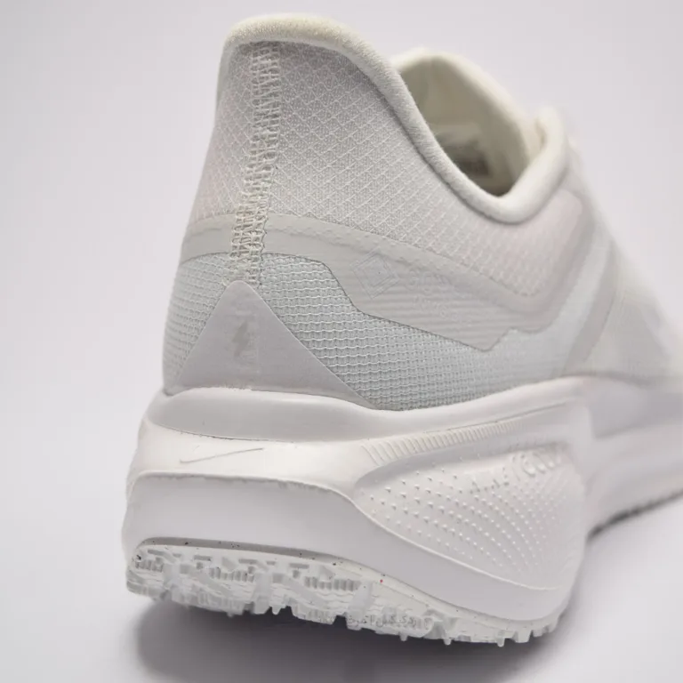 Pegasus 41 Gore-TEX FQ1357-101 (5 of 10)