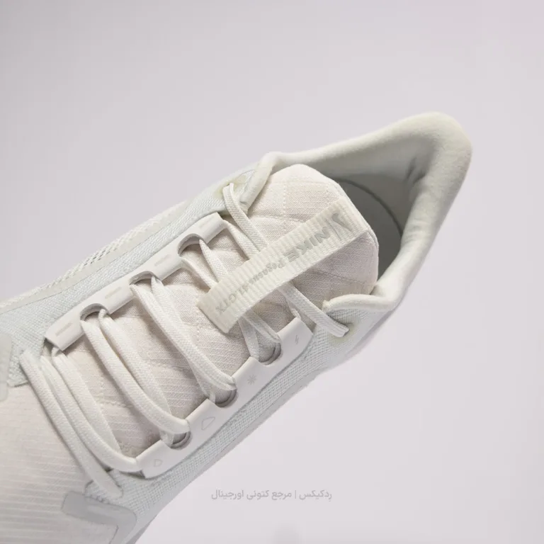 Pegasus 41 Gore-TEX FQ1357-101 (7 of 10)