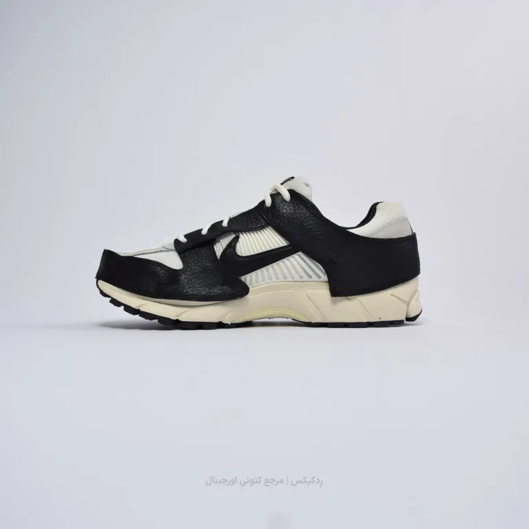 Vomero 5 Timeless Dunk FJ5474-133 (2 of 10)