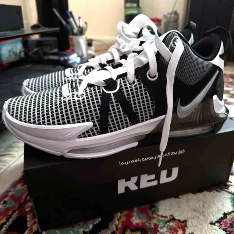 photo_2024-11-30_14-04-10